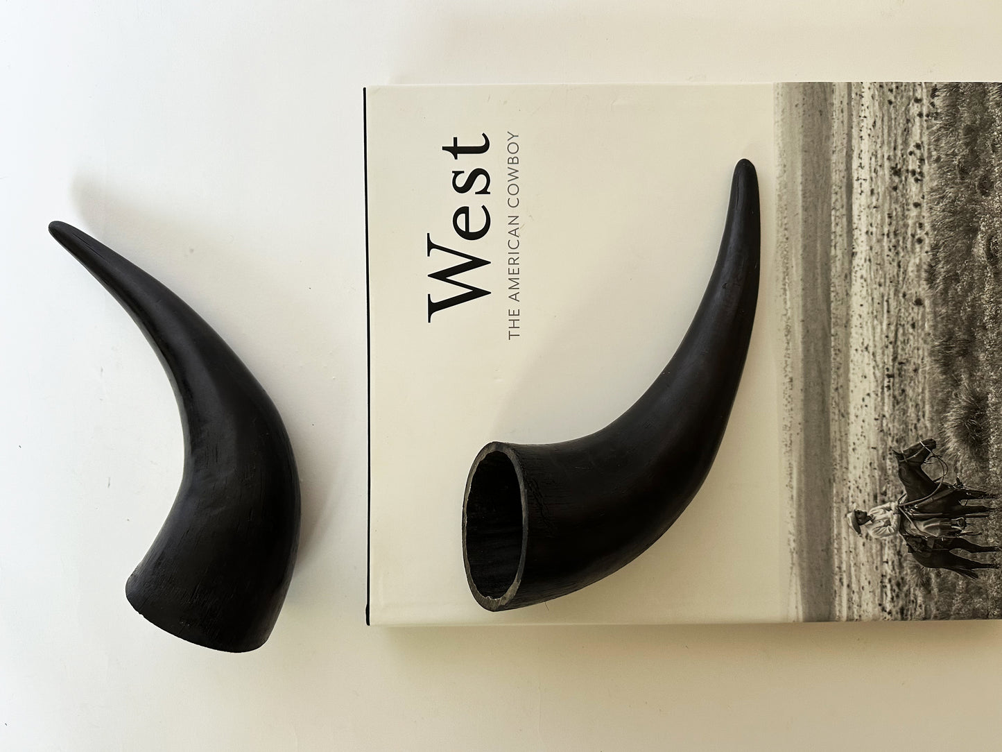 Black Steer Horns, Western Decor Polished Primitive Shelf Decor