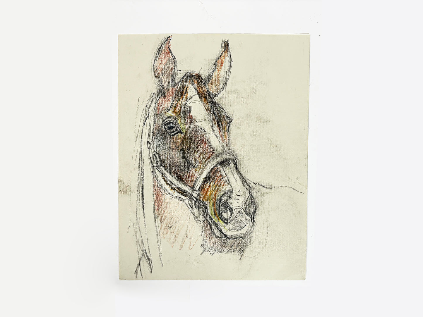 1990s "Horse Portrait Study in Brown and White" British Sporting Art Equestrian Abstract Mixed Media Watercolor on Paper