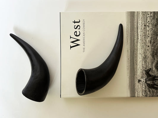 Black Steer Horns, Western Decor Polished Primitive Shelf Decor