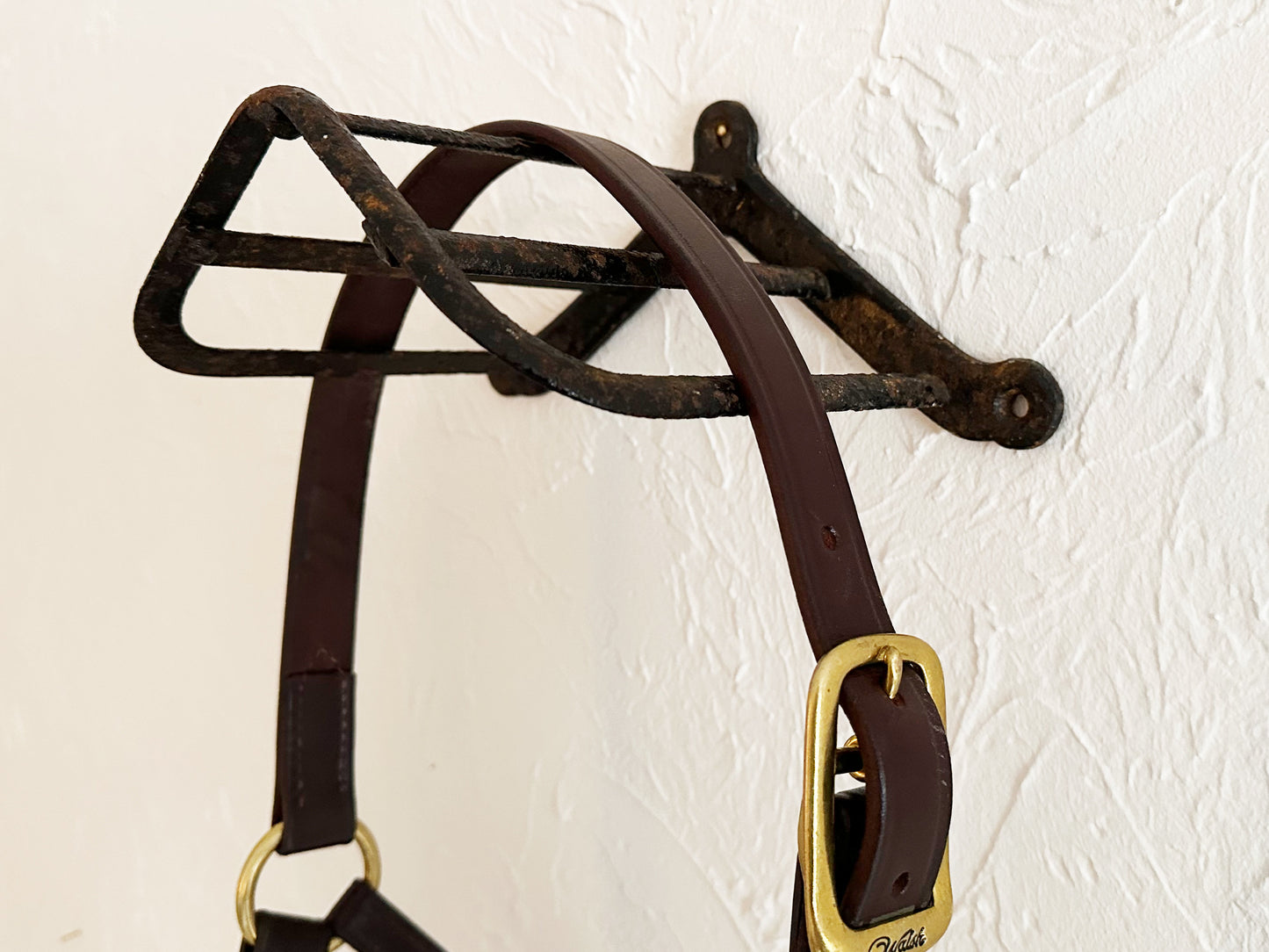 Antique Bridle Racks Equestrian Décor Tack Room Décor Horse Tack Hooks Victorian Tack Hanger Horse Tack Hooks Horse Memorial Set of 4