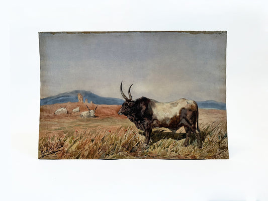 Antique Longhorn Bull Painting Original Watercolor Cattle Painting Southwestern Art Western Artwork Leopoldo Mariotti Painting