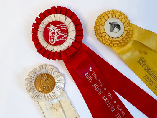 Vintage Horse Show Ribbons Equestrian Decor Vintage Gymkhana Ribbon Horse Show Trophy Equestrian Home Shelf Decor Horse Trophy Ribbon